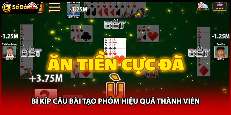 Bí kíp câu bài tạo phỏm hiệu quả thành viên