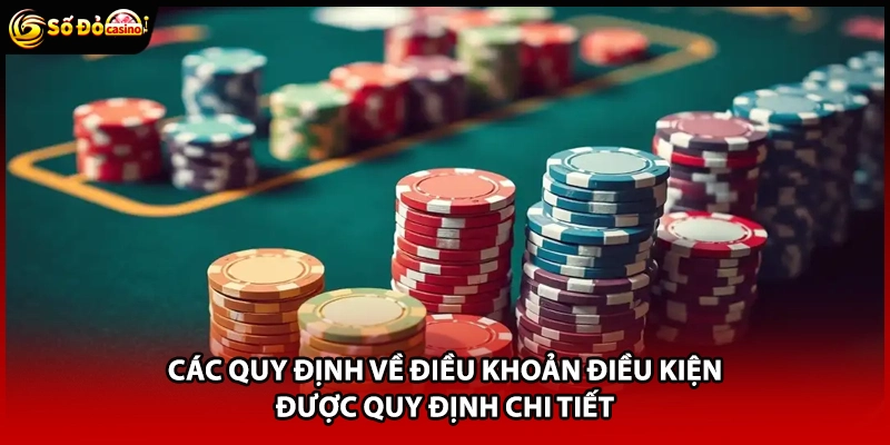Các quy định về điều khoản điều kiện được quy định chi tiết