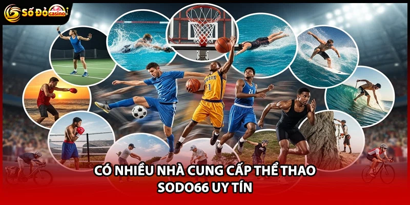 Có nhiều nhà cung cấp thể thao Sodo66 uy tín