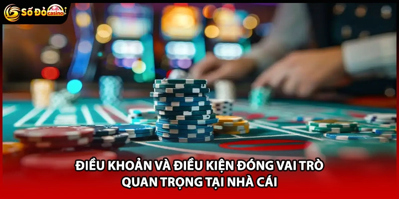 Điều khoản và điều kiện đóng vai trò quan trọng tại nhà cái