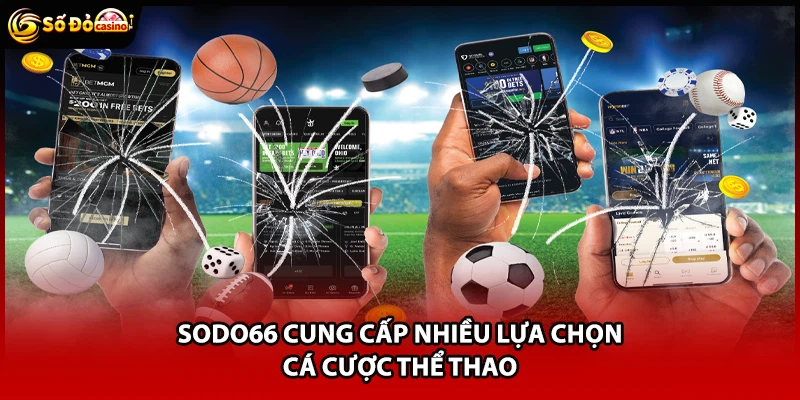 Sodo66 cung cấp nhiều lựa chọn cá cược thể thao