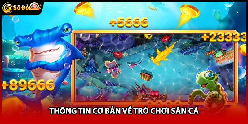 Thông tin cơ bản về trò chơi săn cá